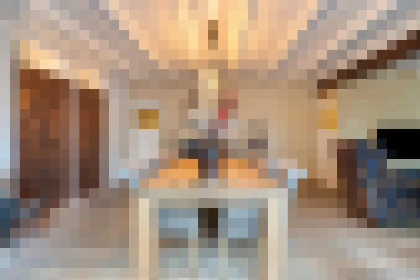 Kerkstraat 75 Elshout thumbnail 12