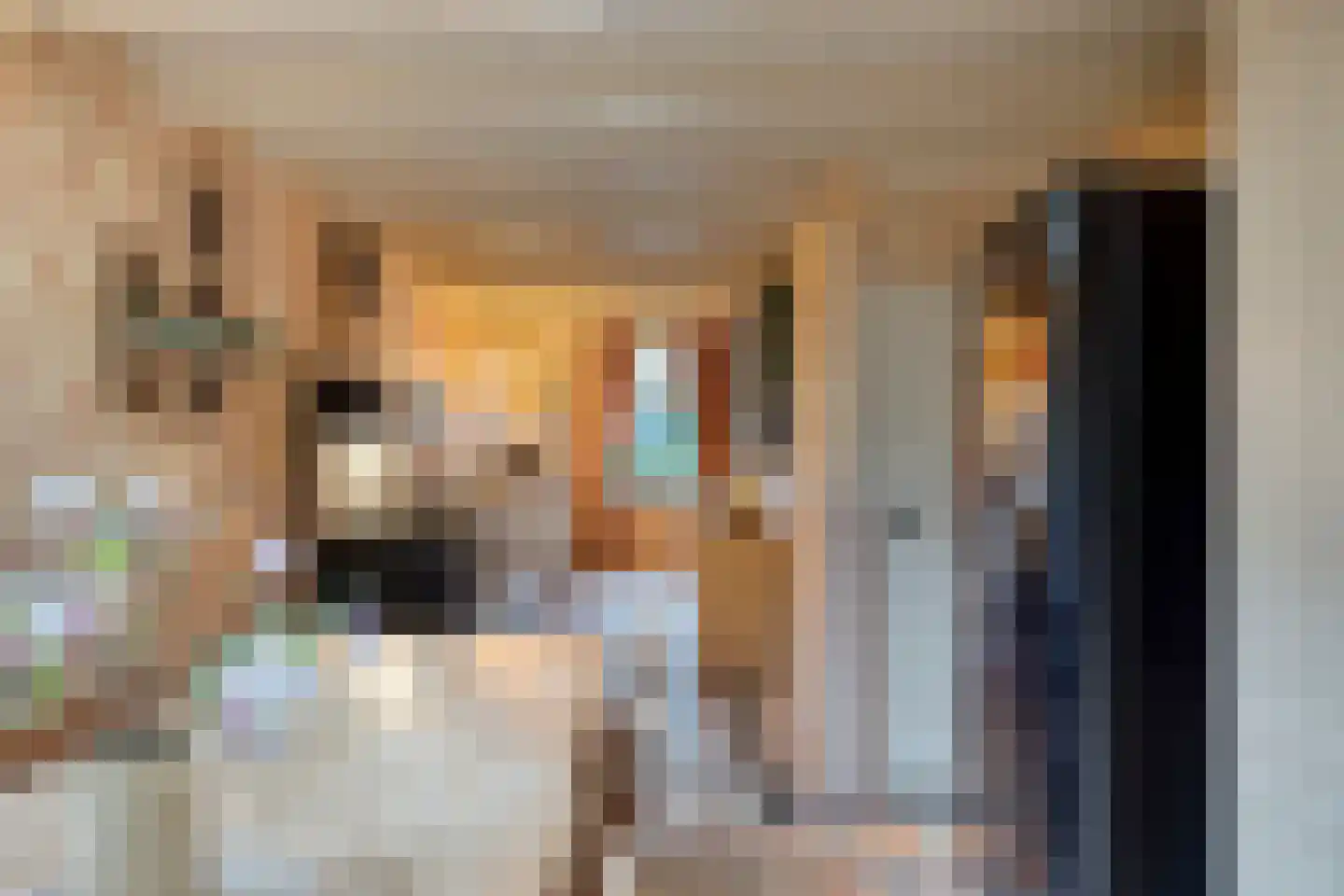 Kerkstraat 75 Elshout thumbnail 13