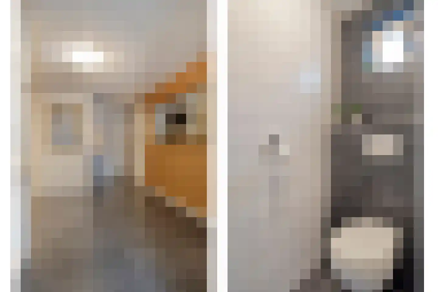 Kerkstraat 75 Elshout thumbnail 18