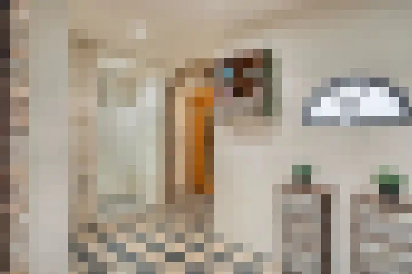 Kerkstraat 75 Elshout thumbnail 19