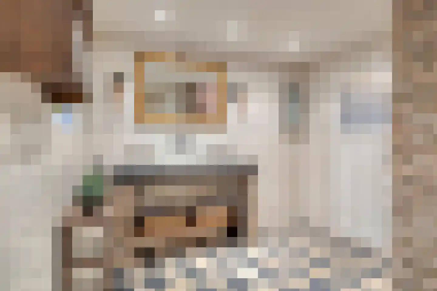 Kerkstraat 75 Elshout thumbnail 21