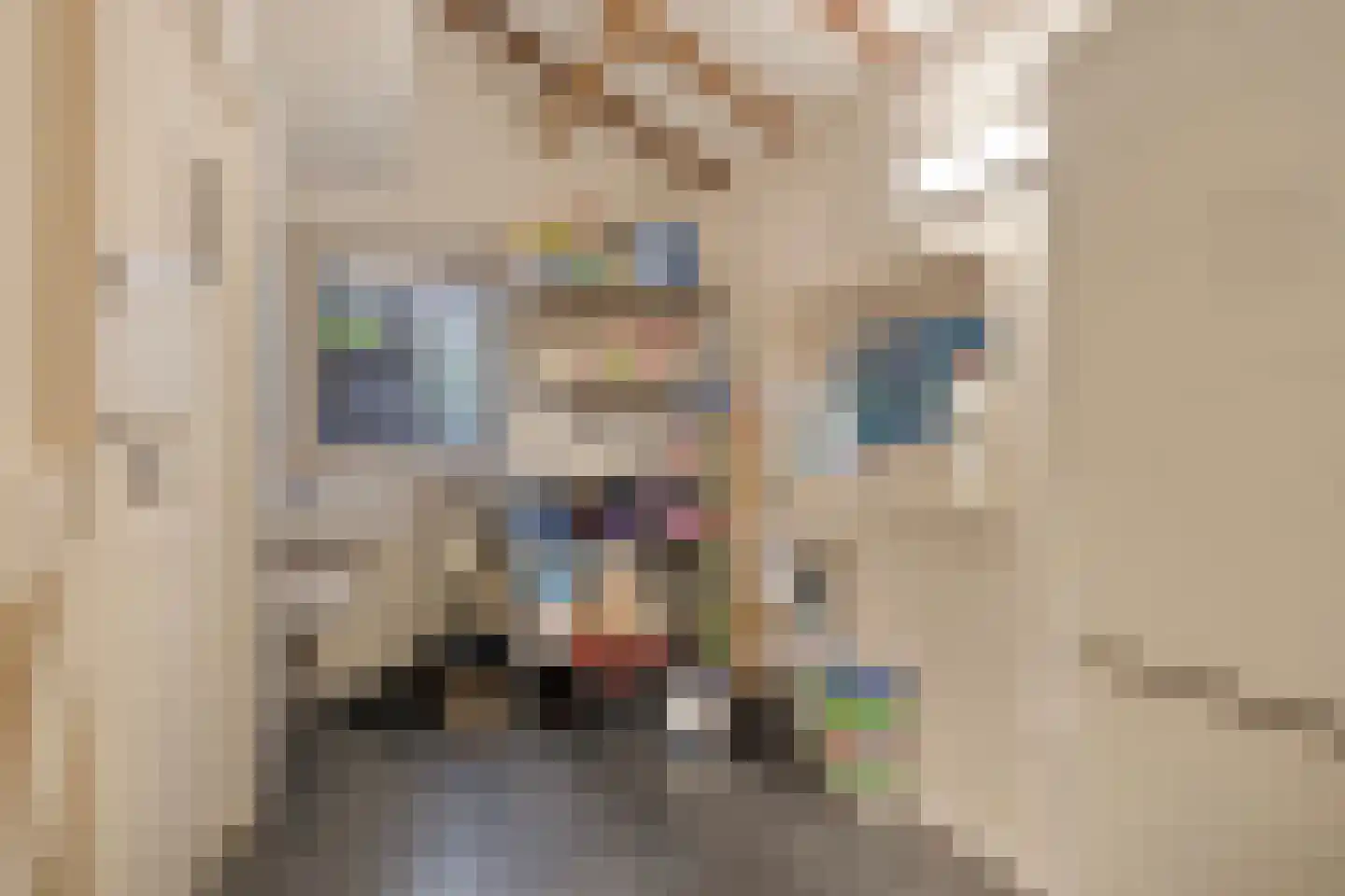Kerkstraat 75 Elshout thumbnail 23