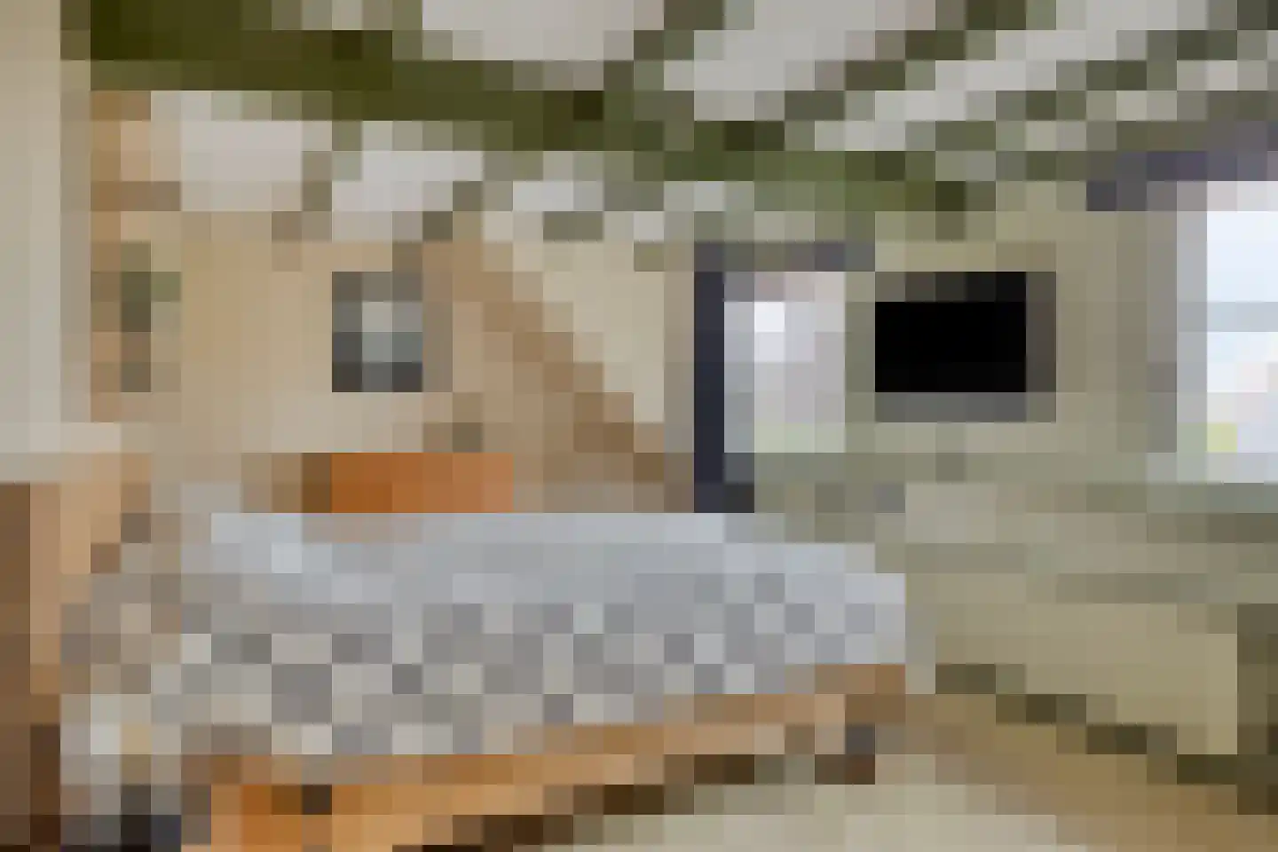 Kerkstraat 75 Elshout thumbnail 30