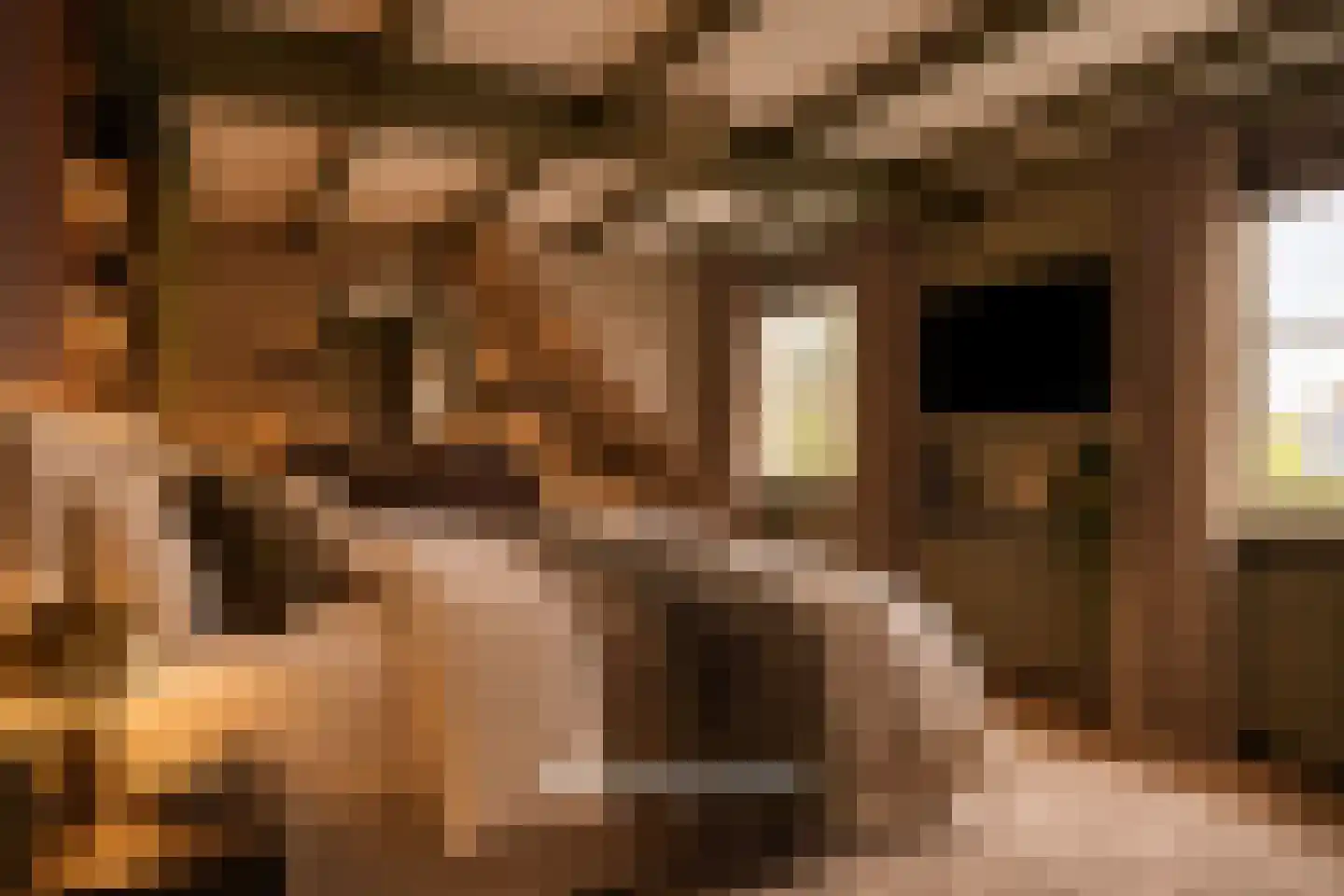Kerkstraat 75 Elshout thumbnail 32