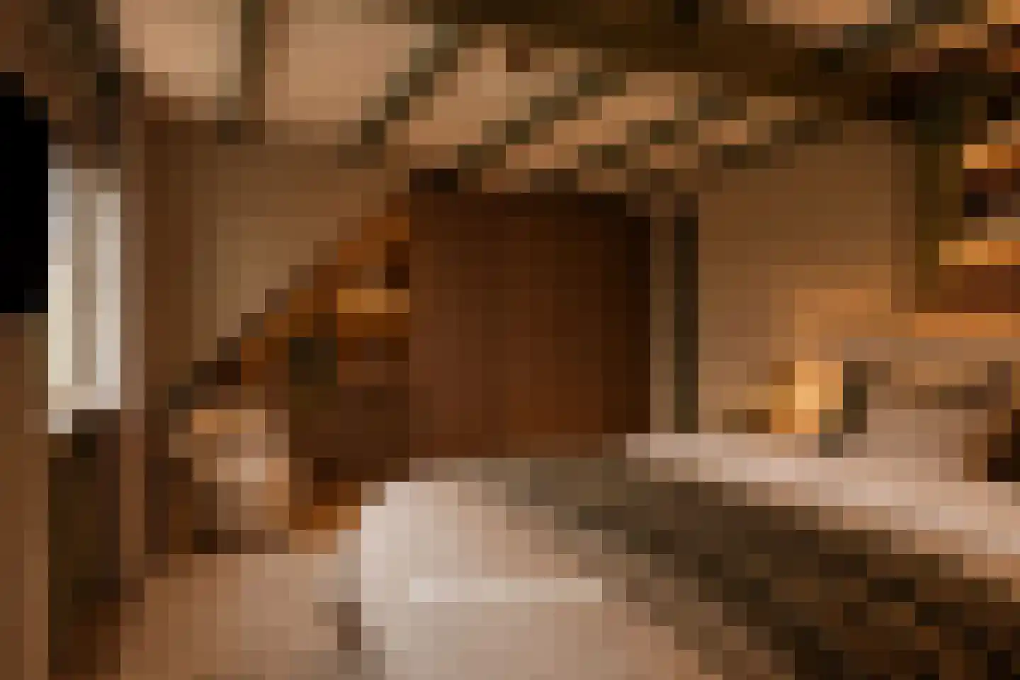 Kerkstraat 75 Elshout thumbnail 33