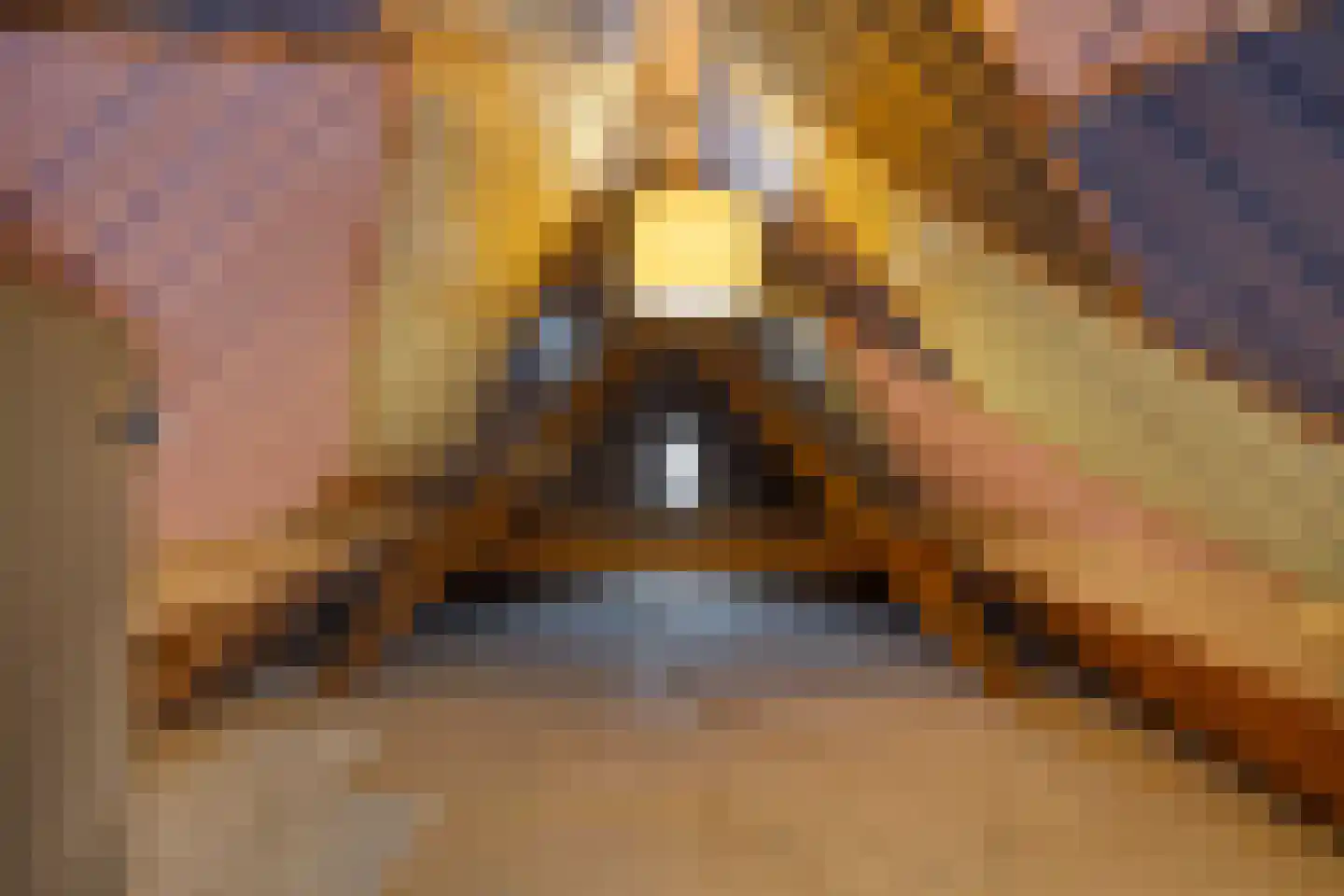 Kerkstraat 75 Elshout thumbnail 37