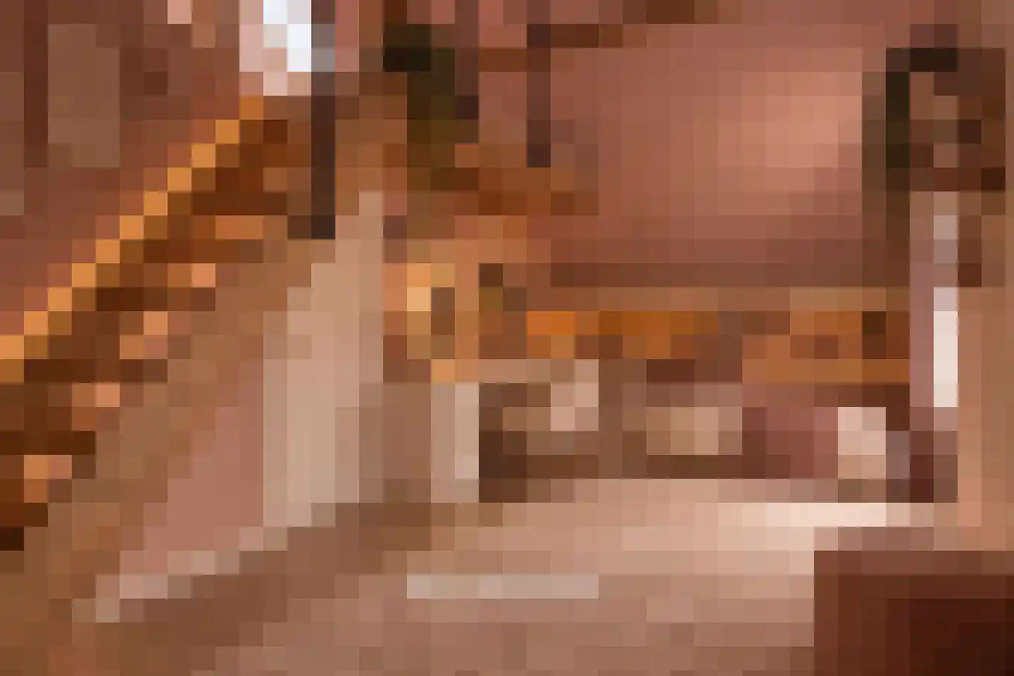 Kerkstraat 75 Elshout thumbnail 38