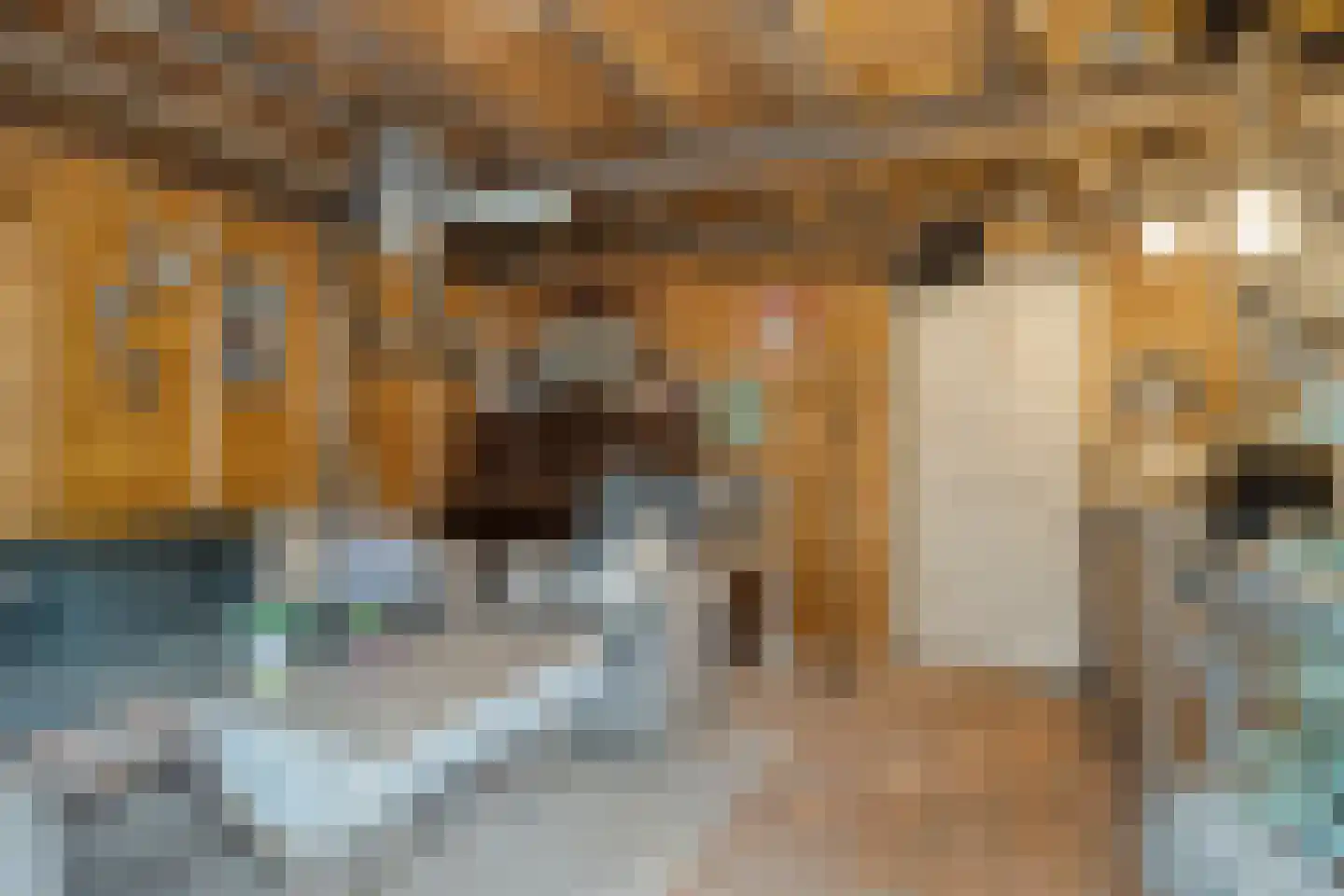 Kerkstraat 75 Elshout thumbnail 43