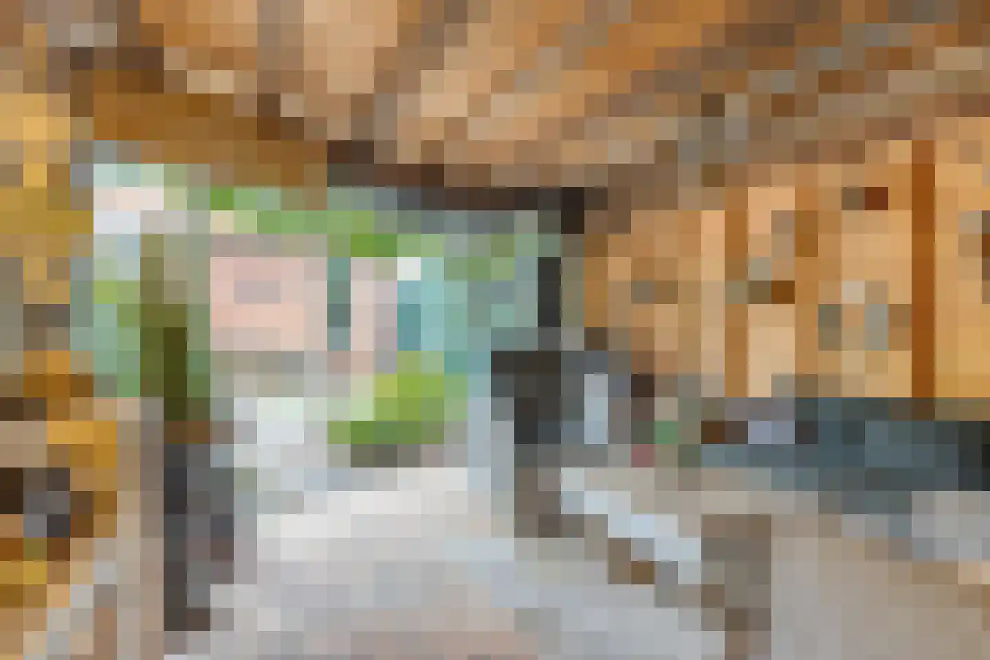 Kerkstraat 75 Elshout thumbnail 44