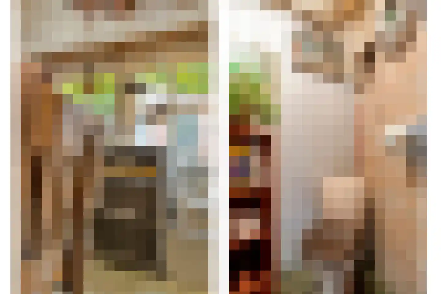 Kerkstraat 75 Elshout thumbnail 47
