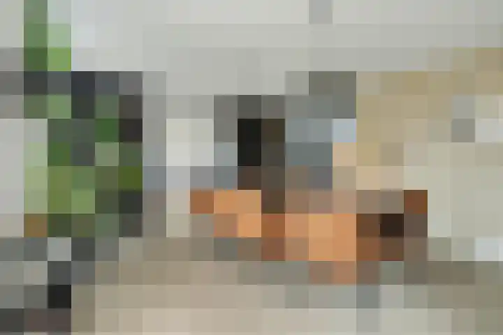 Kerkstraat 75 Riel thumbnail 10