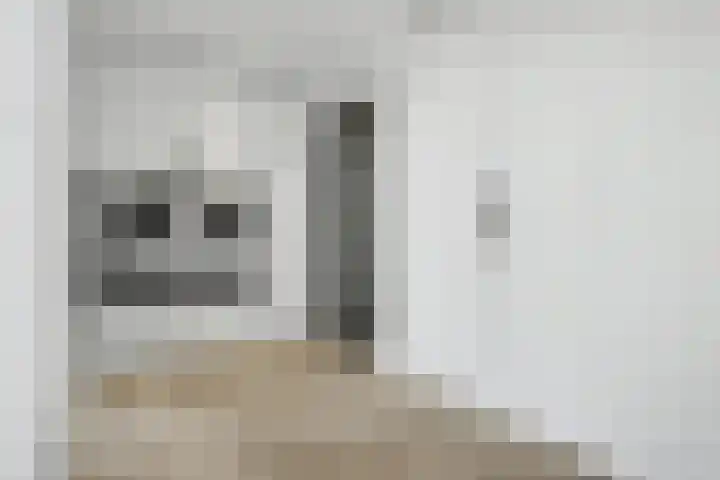 Kerkstraat 75 Riel thumbnail 26