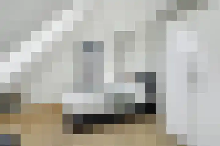 Kerkstraat 75 Riel thumbnail 30