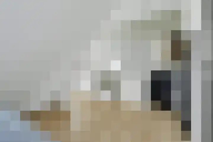 Kerkstraat 75 Riel thumbnail 33