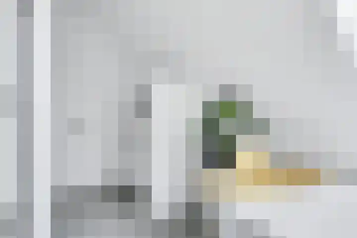 Kerkstraat 75 Riel thumbnail 38