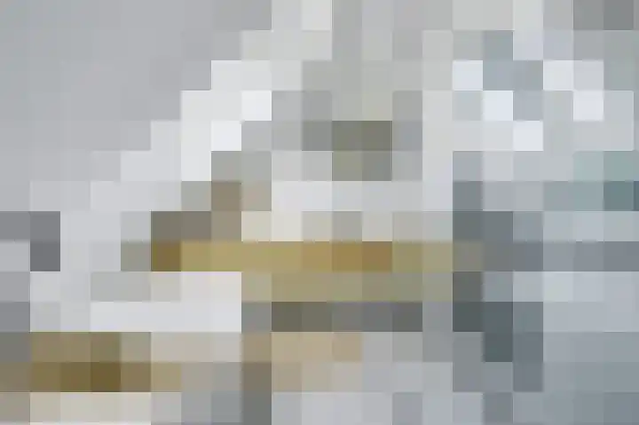 Kerkstraat 75 Riel thumbnail 39