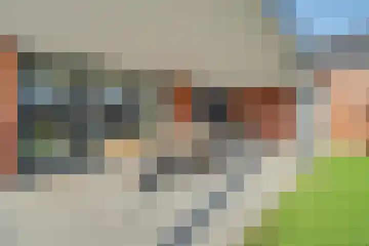 Kerkstraat 75 Riel thumbnail 47