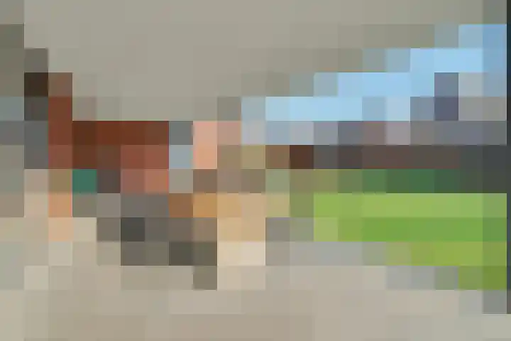 Kerkstraat 75 Riel thumbnail 48