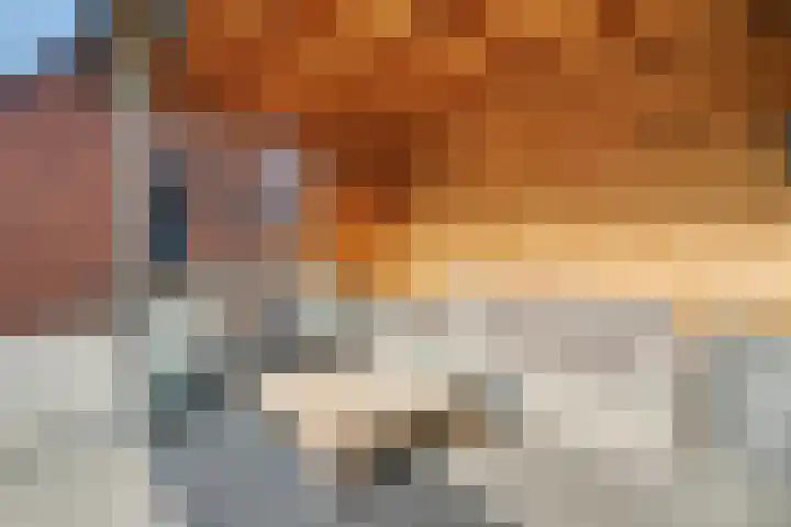 Kerkstraat 75 Riel thumbnail 51