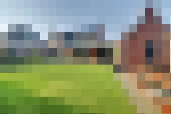 Kerkstraat 75 Riel thumbnail 52