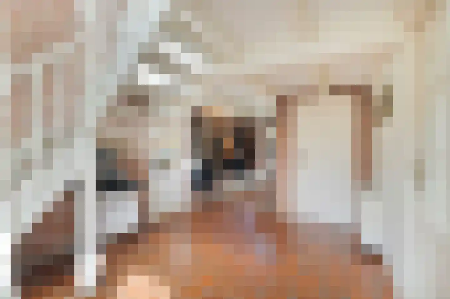 Kerkstraat 75 Waarland thumbnail 14