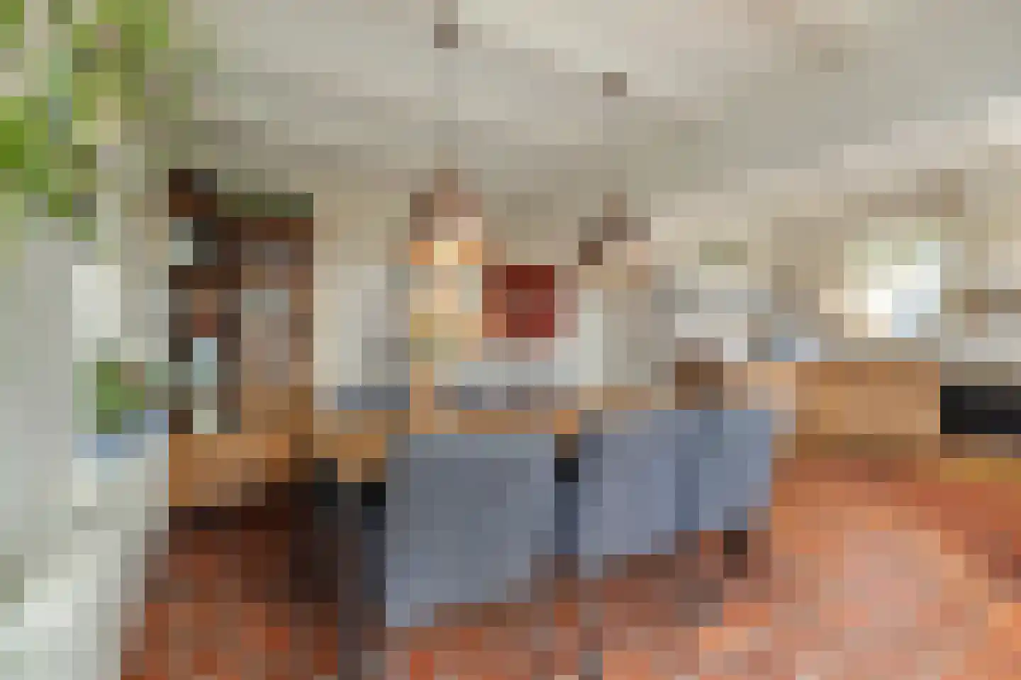 Kerkstraat 75 Waarland thumbnail 26