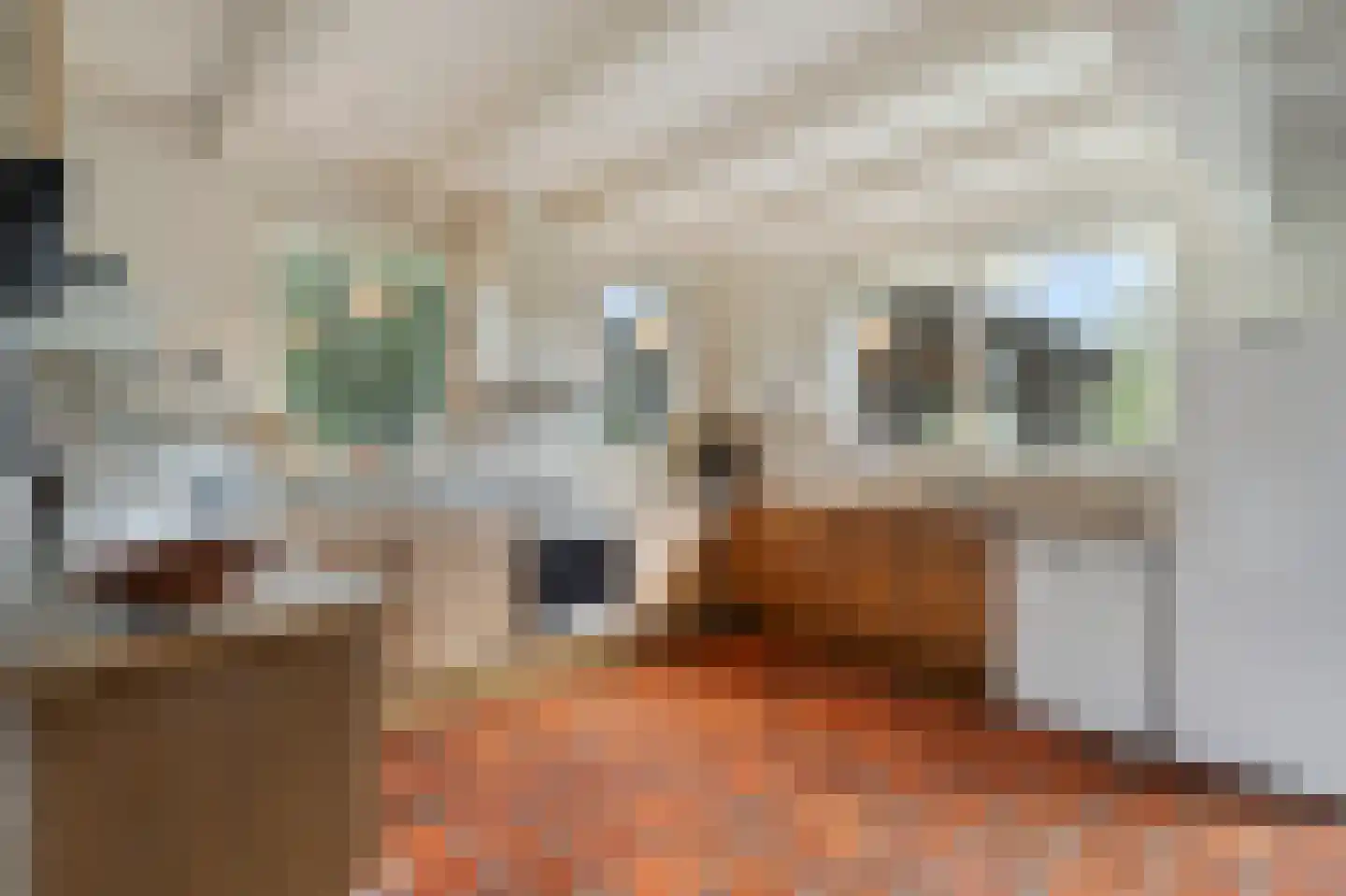 Kerkstraat 75 Waarland thumbnail 28