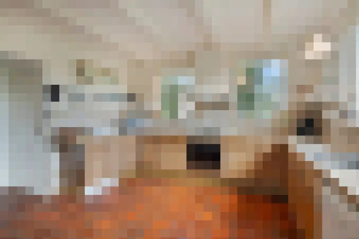Kerkstraat 75 Waarland thumbnail 29