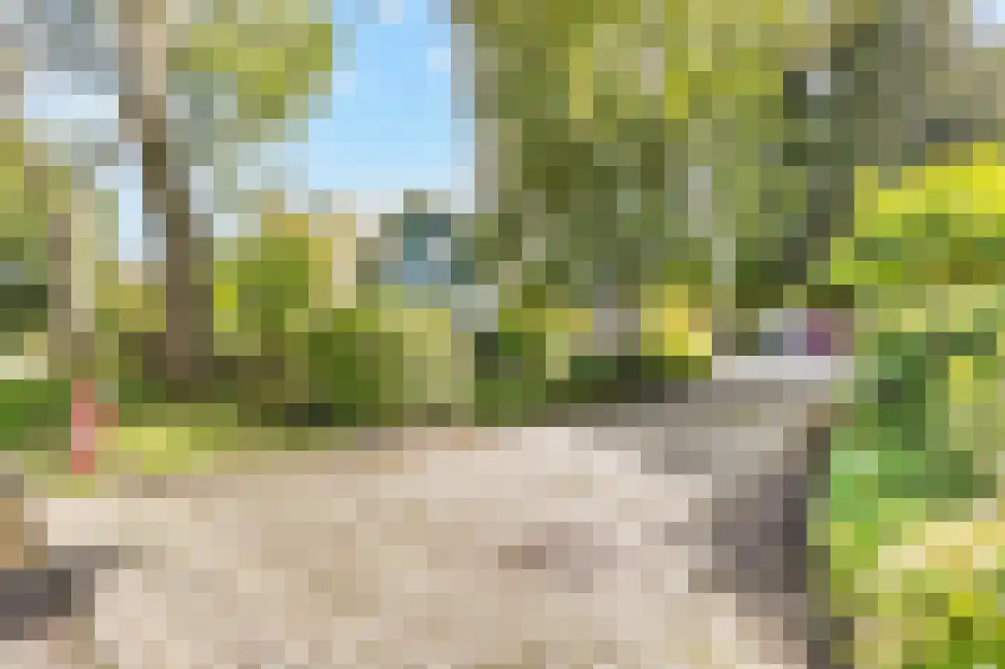 Kerkstraat 75 Waarland thumbnail 4