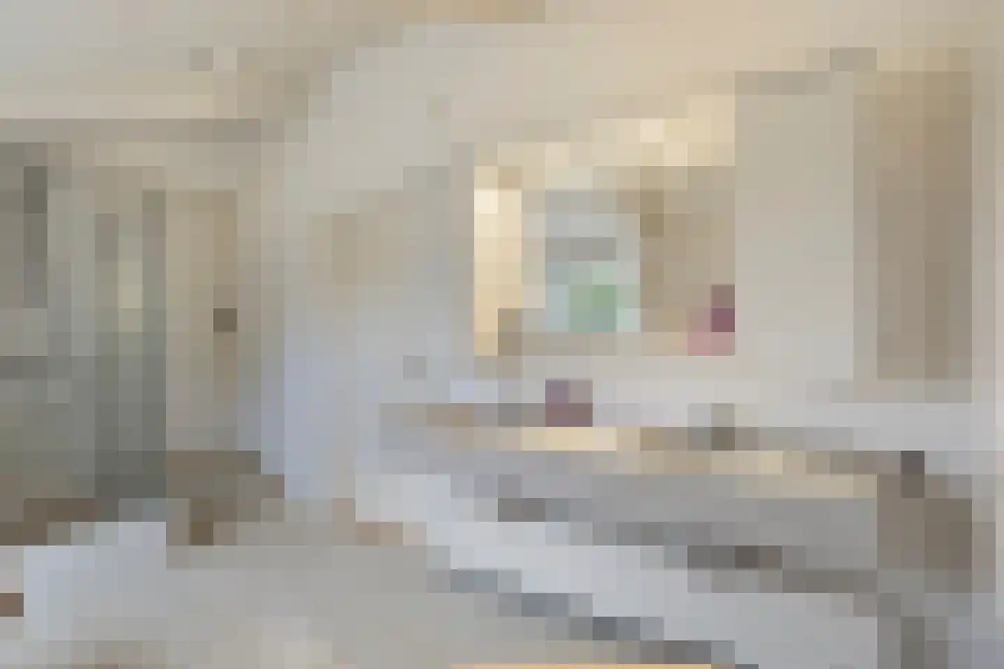 Kerkstraat 75 Waarland thumbnail 44