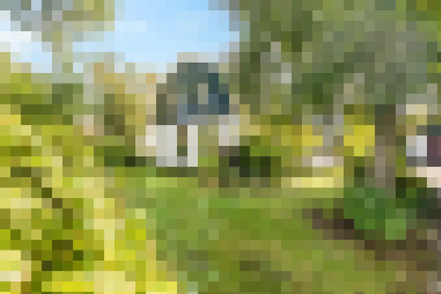 Kerkstraat 75 Waarland thumbnail 6