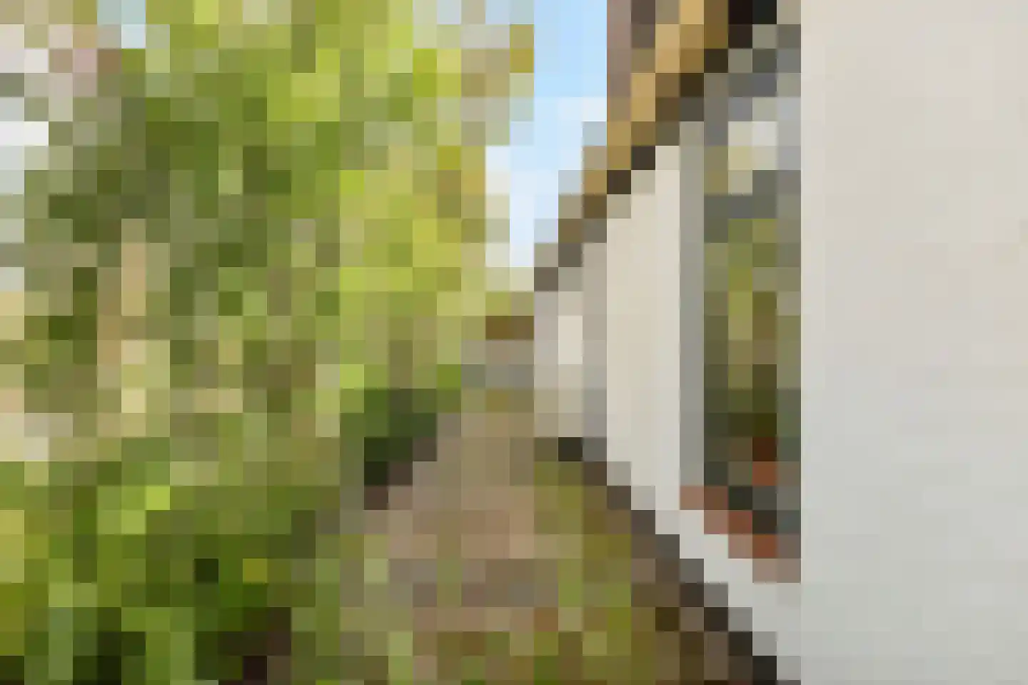 Kerkstraat 75 Waarland thumbnail 7