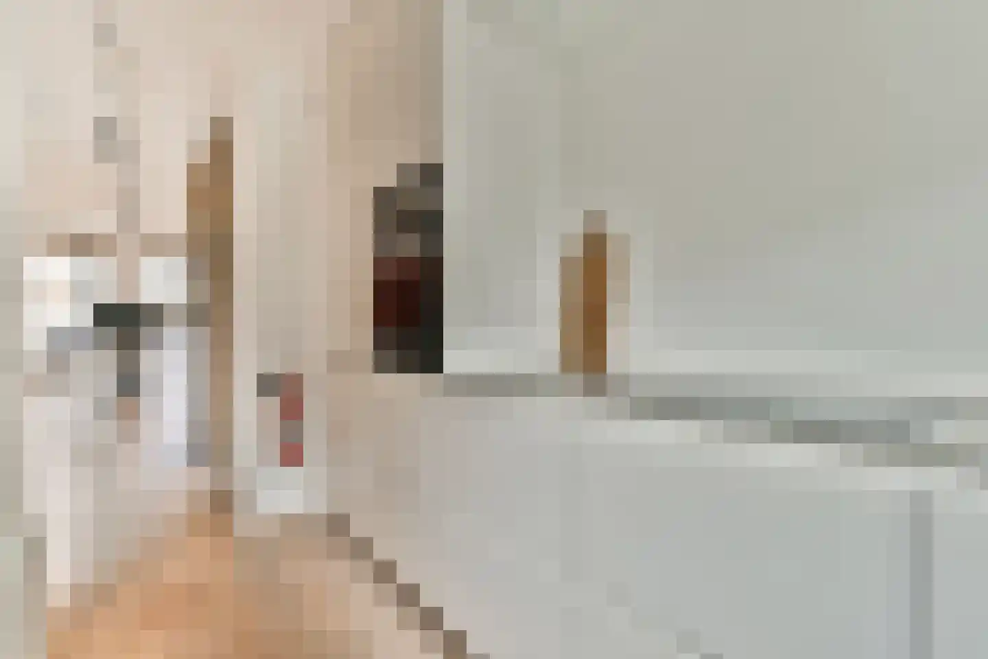 Kerkstraat 76 Amsterdam thumbnail 18