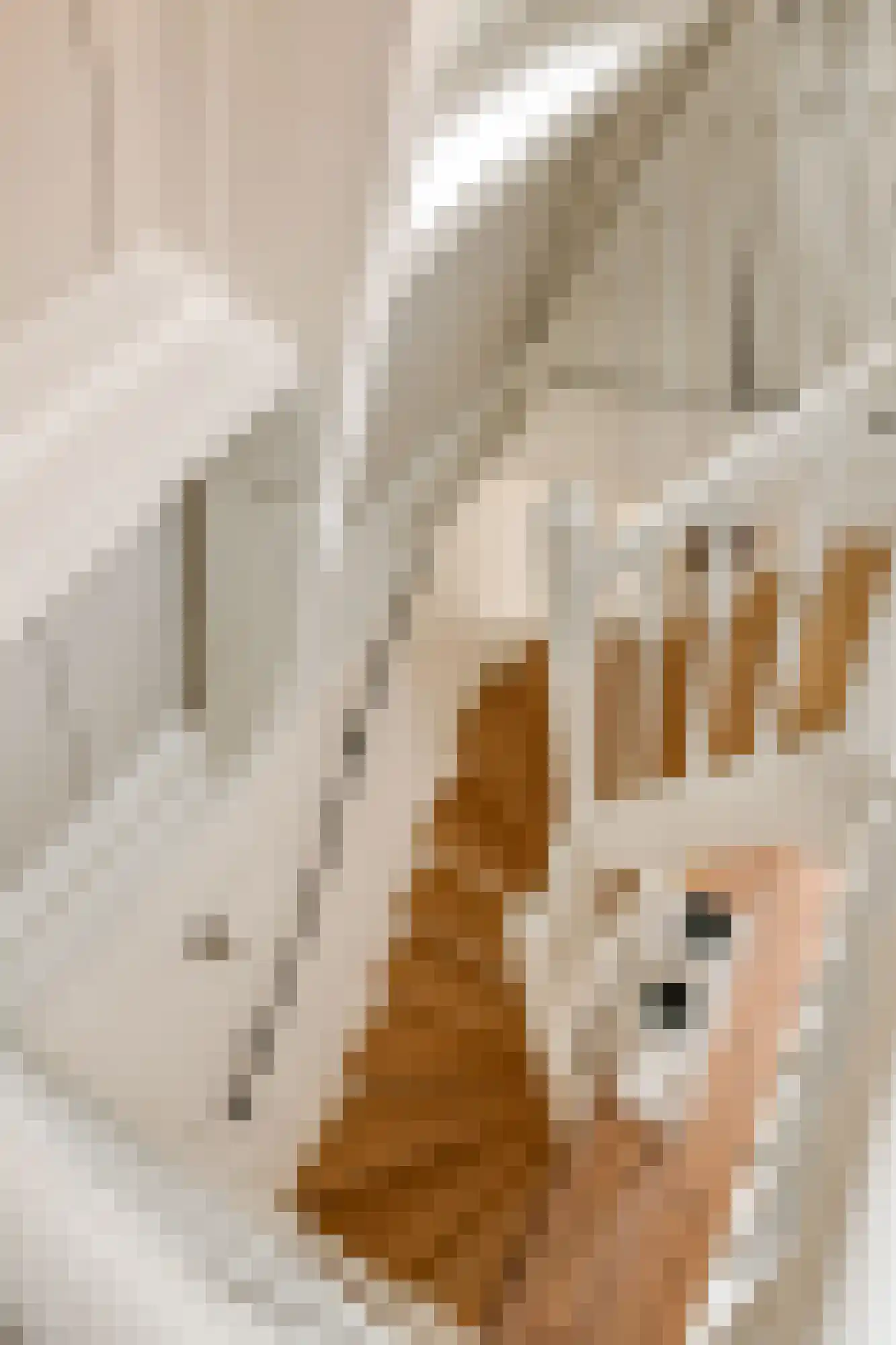 Kerkstraat 76 Amsterdam thumbnail 25