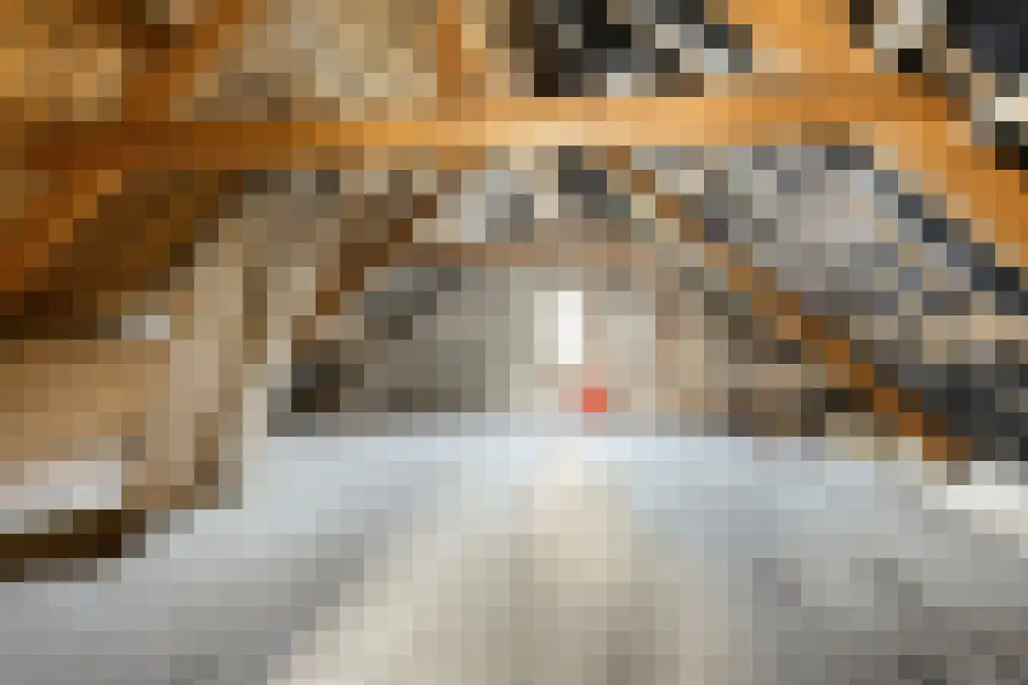 Kerkstraat 76 Gaanderen thumbnail 40