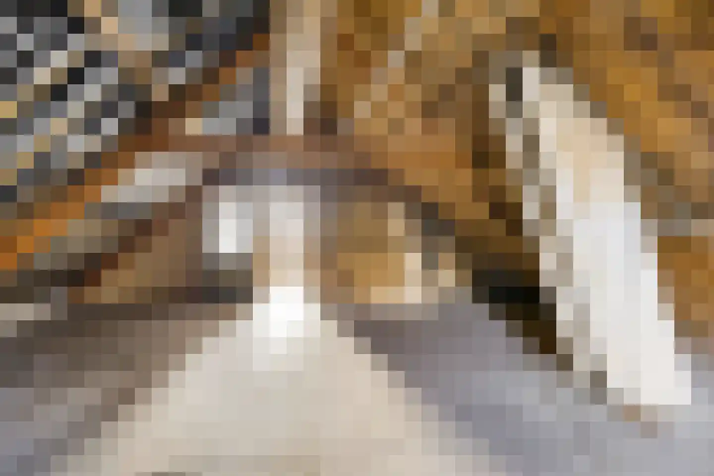 Kerkstraat 76 Gaanderen thumbnail 41