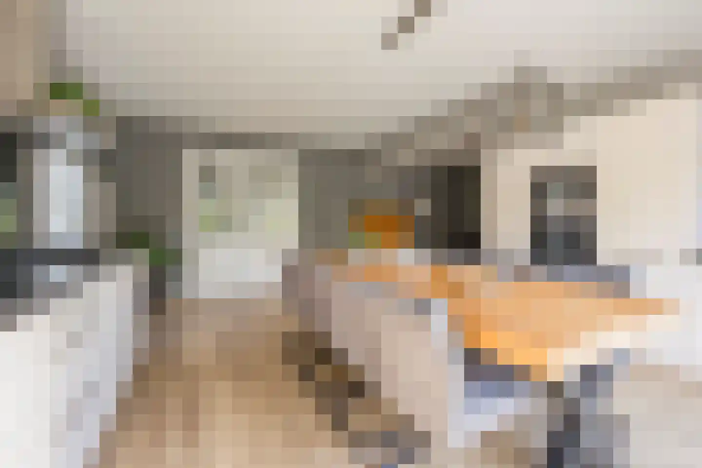 Kerkstraat 76 Voorthuizen thumbnail 15
