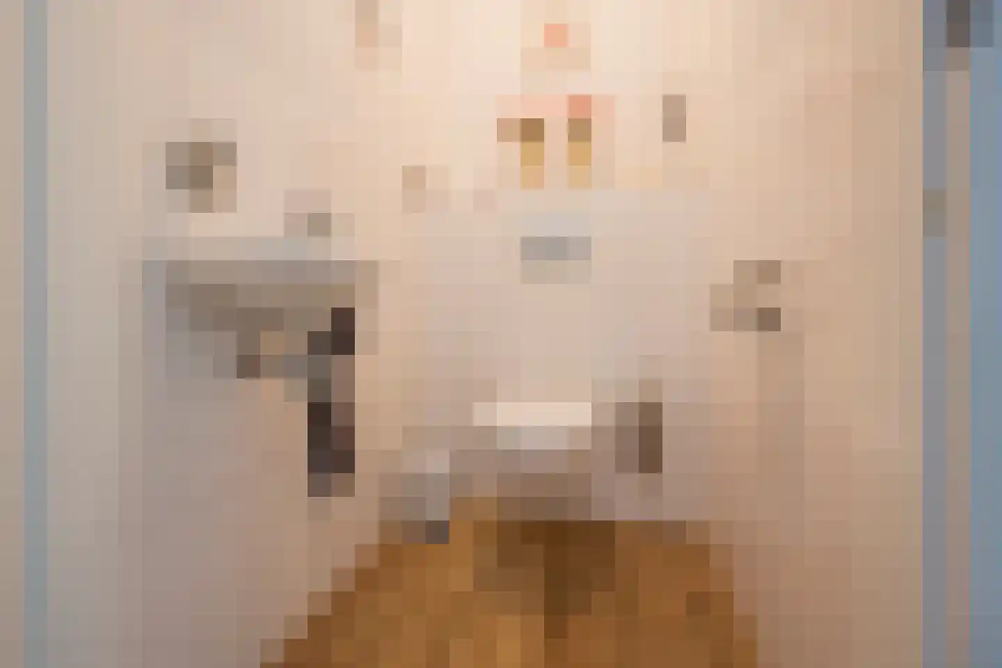Kerkstraat 76 Voorthuizen thumbnail 21