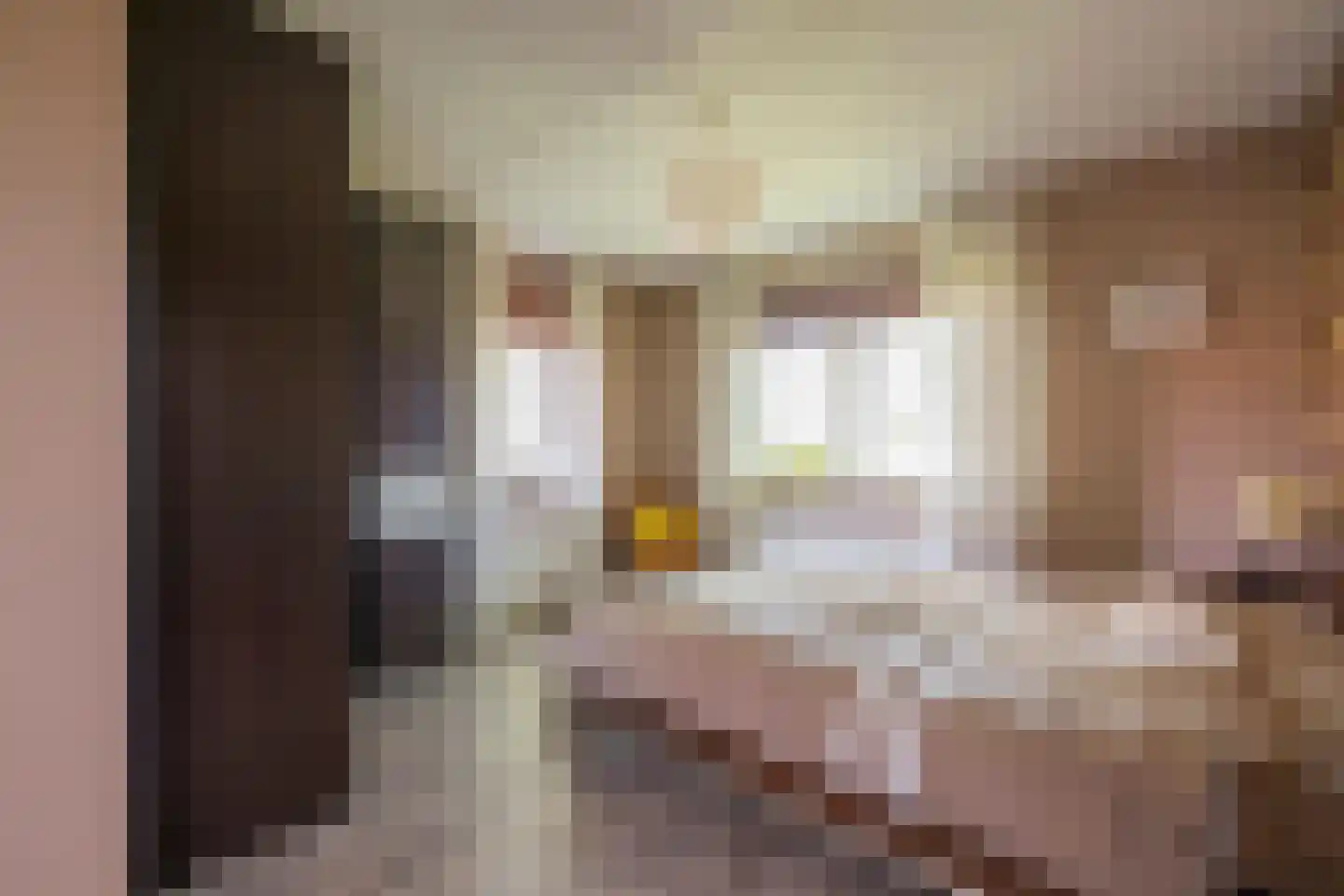 Kerkstraat 76 Voorthuizen thumbnail 23