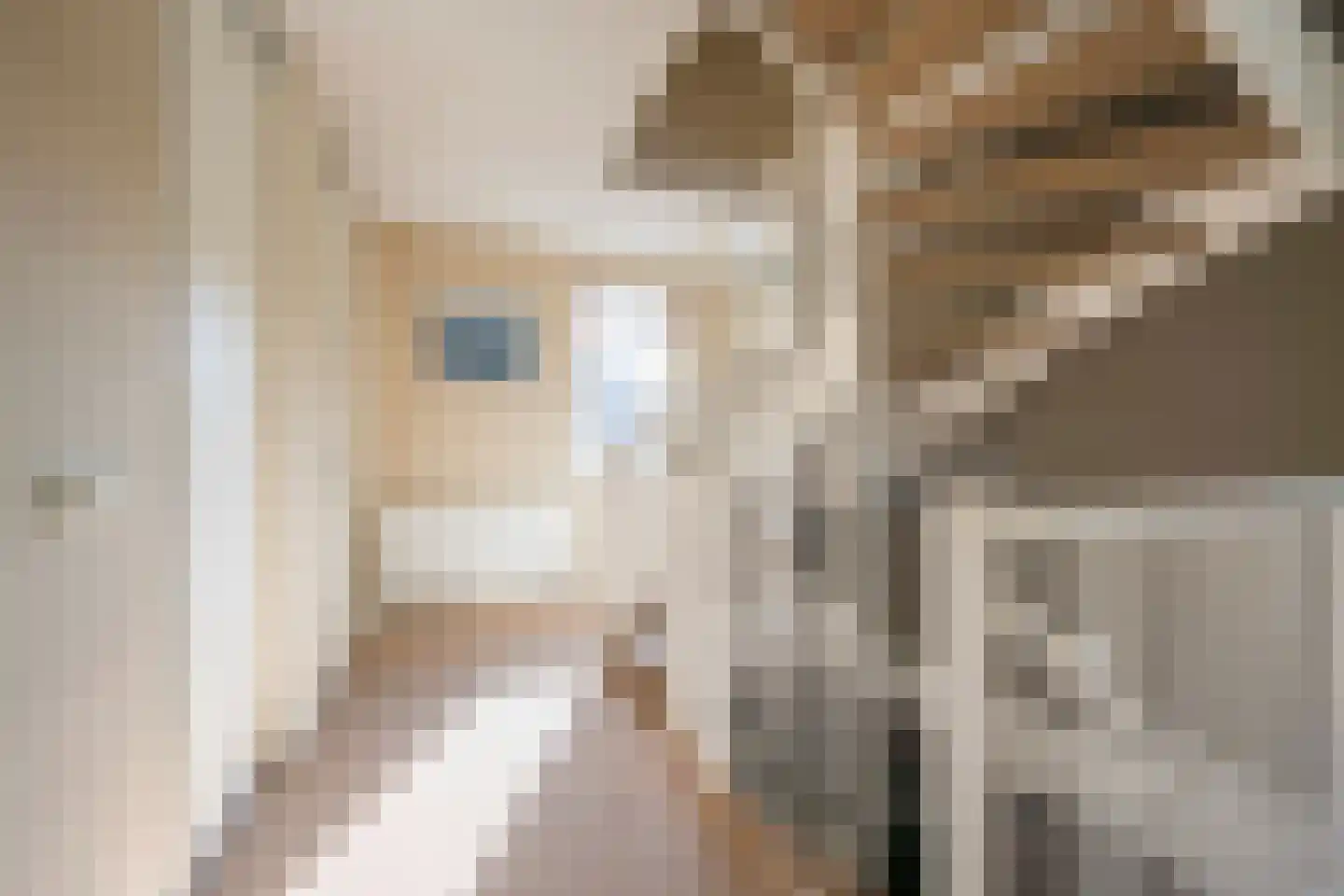 Kerkstraat 76 Voorthuizen thumbnail 31
