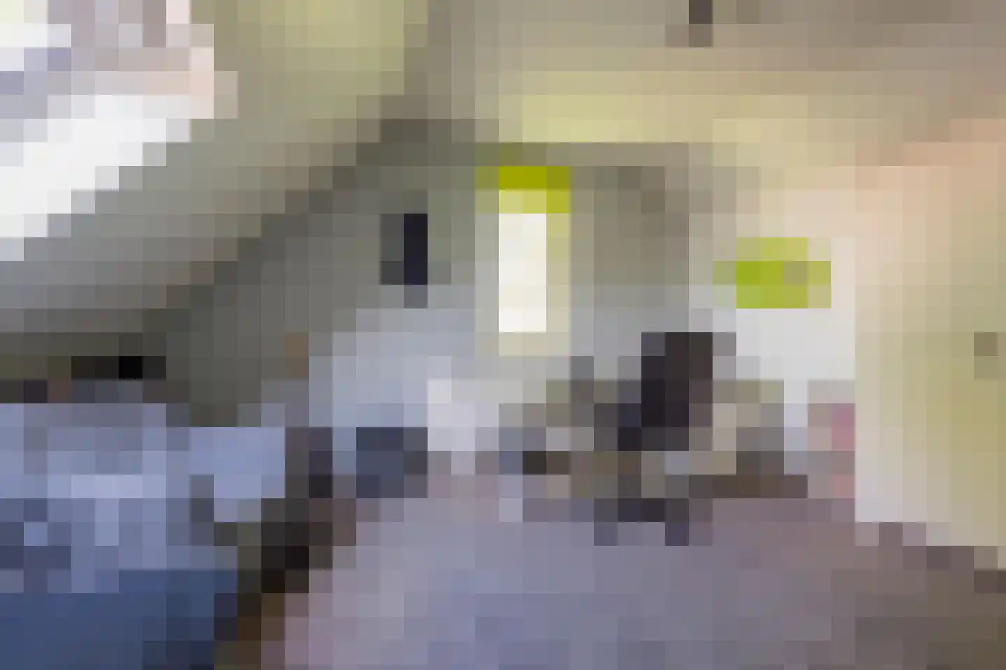 Kerkstraat 76 Voorthuizen thumbnail 33