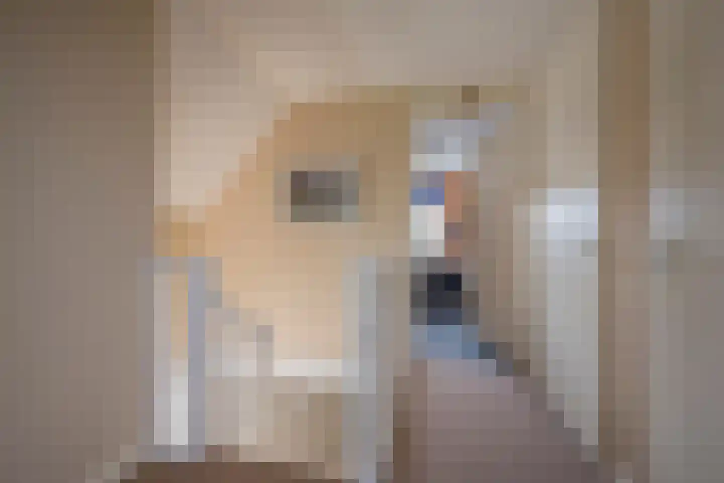 Kerkstraat 76 Voorthuizen thumbnail 34