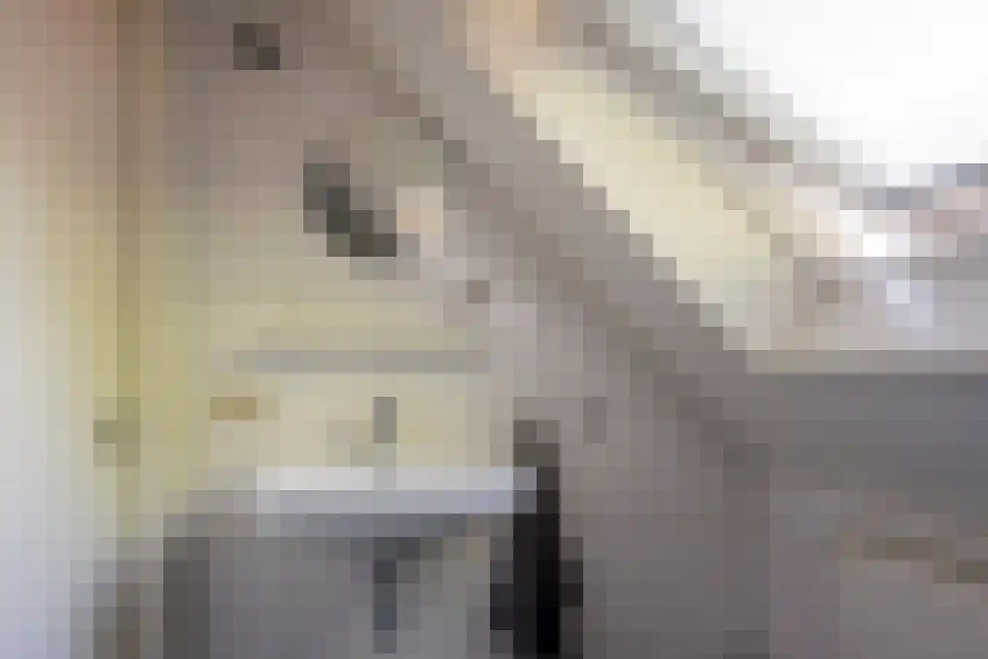 Kerkstraat 76 Voorthuizen thumbnail 36