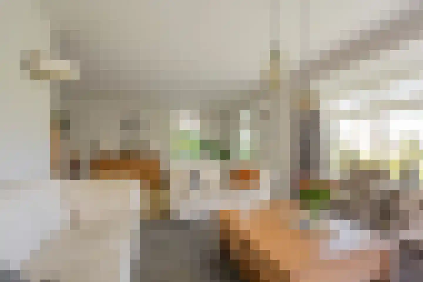 Kerkstraat 76 Voorthuizen thumbnail 9