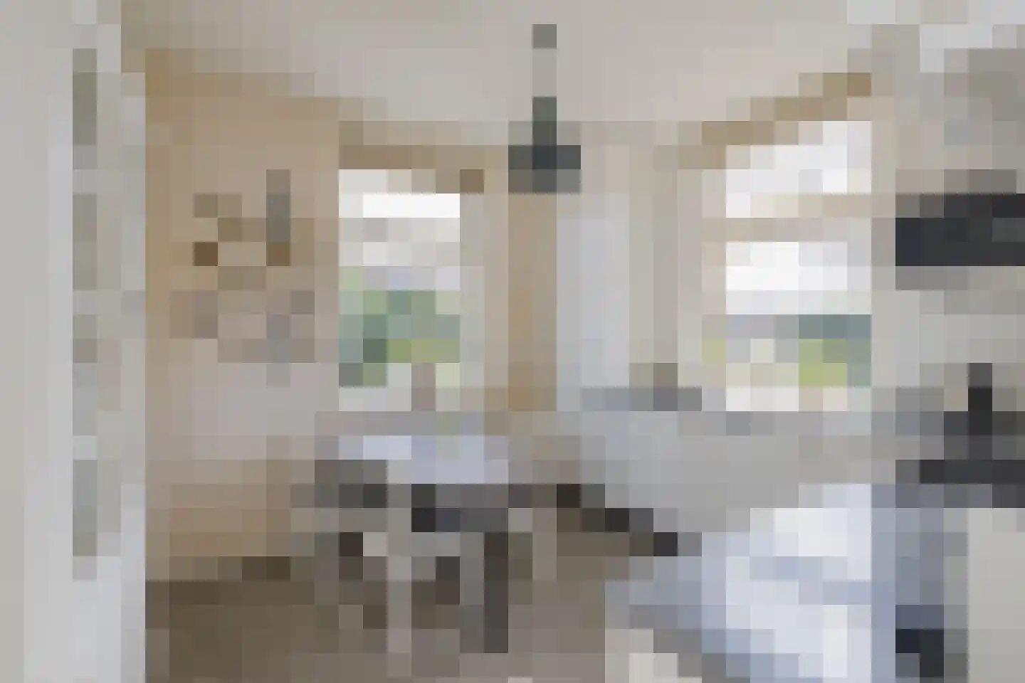 Kerkstraat 77 Noordwijkerhout thumbnail 20