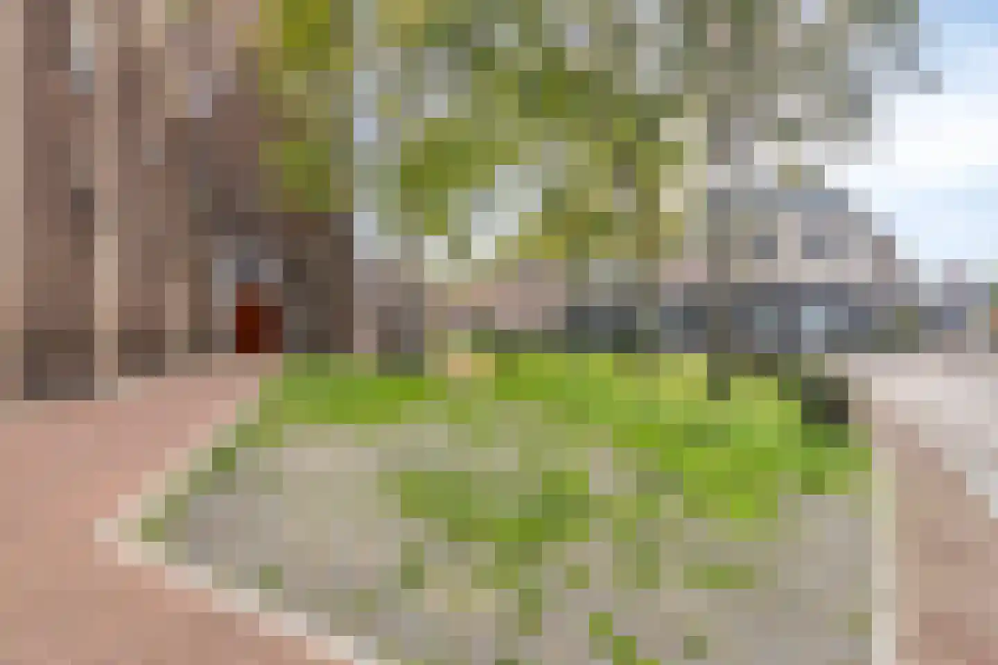 Kerkstraat 78 Oss thumbnail 21
