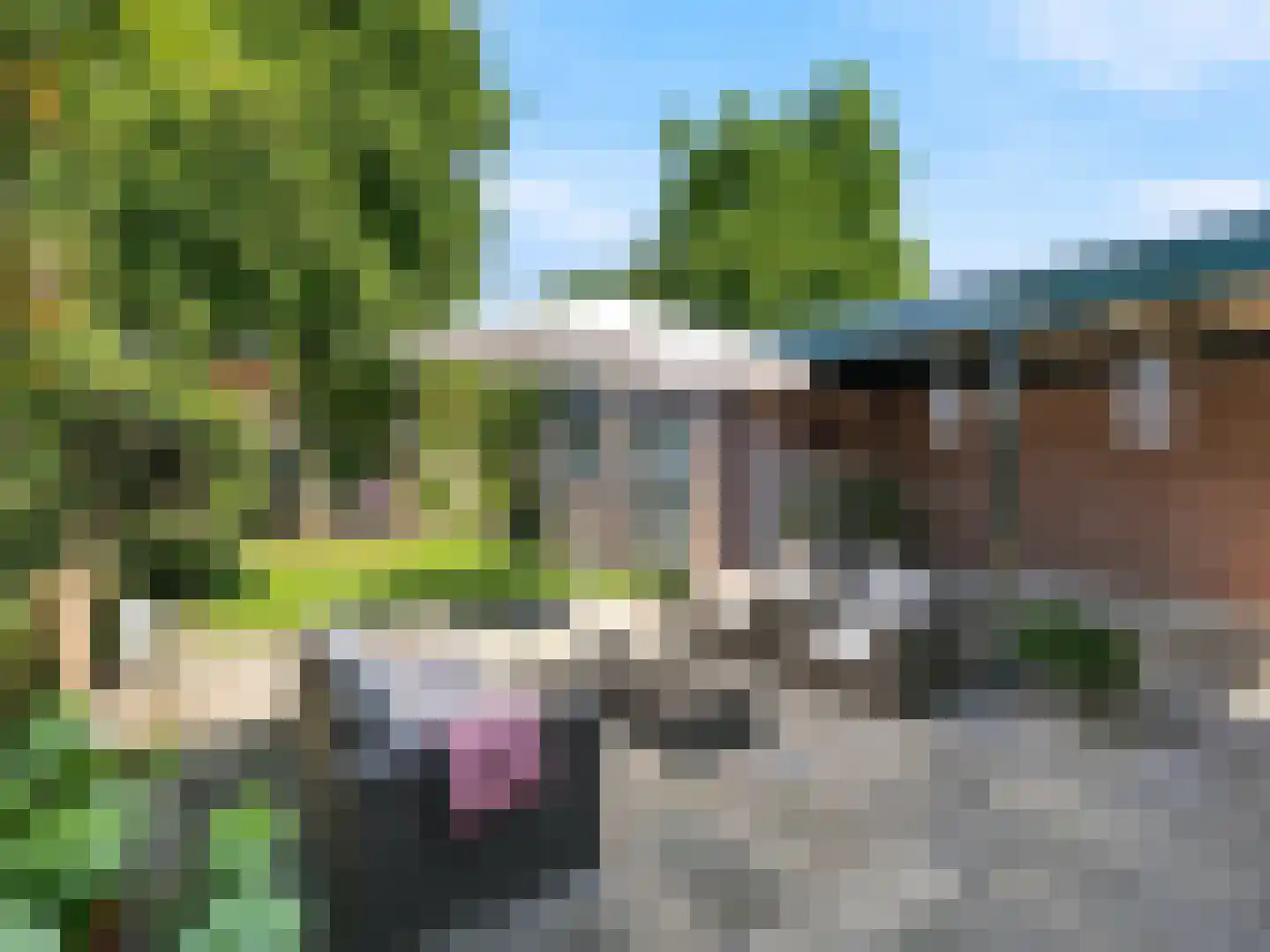 Kerkstraat 78 Renkum thumbnail 28