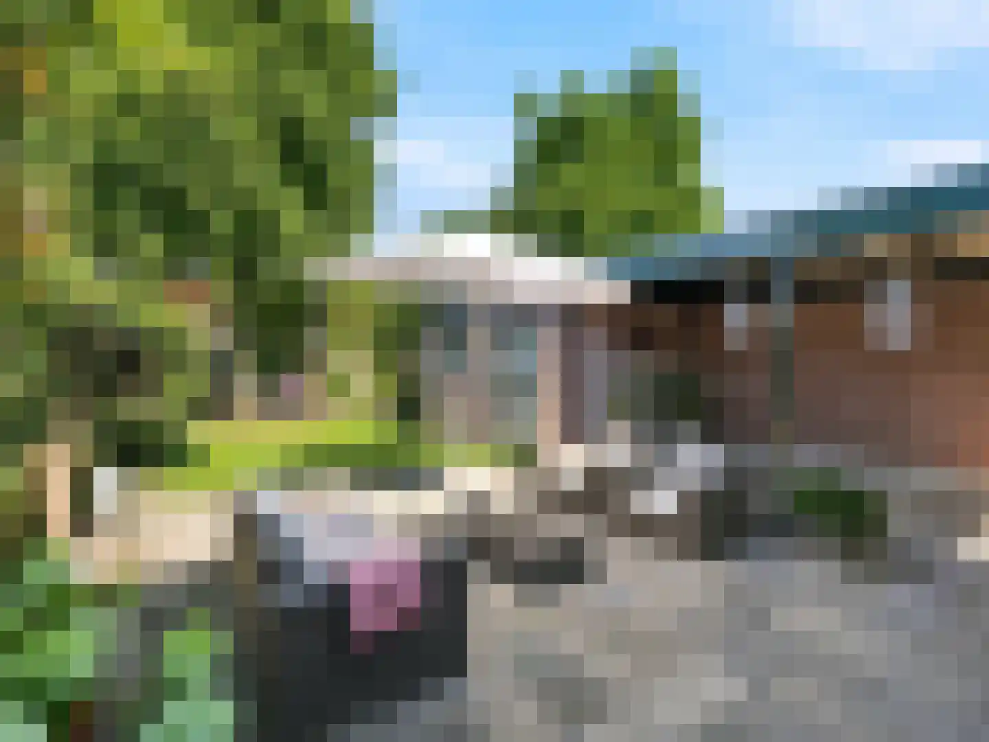 Kerkstraat 78 Renkum thumbnail 28