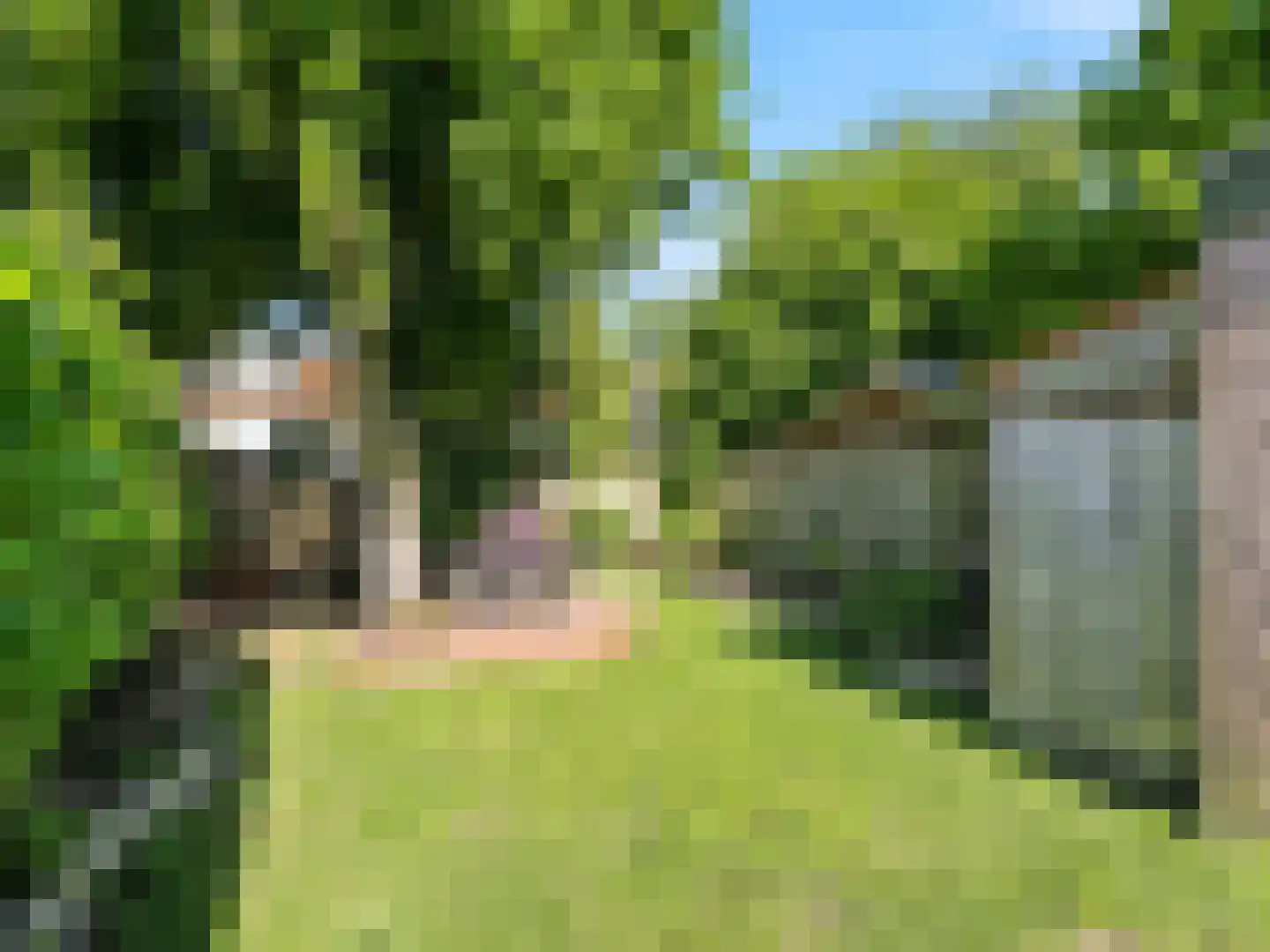 Kerkstraat 78 Renkum thumbnail 32