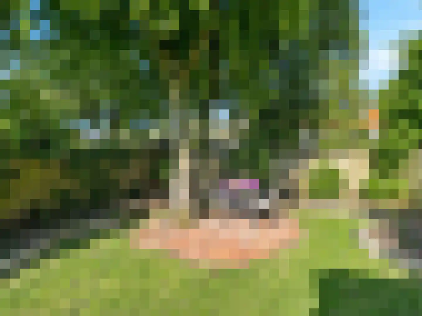 Kerkstraat 78 Renkum thumbnail 33